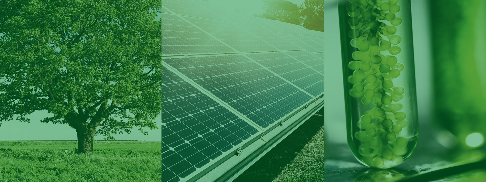 Heiche Umweltbewusstsein Green Technology Heiche Umweltbewusstsein Green Technology